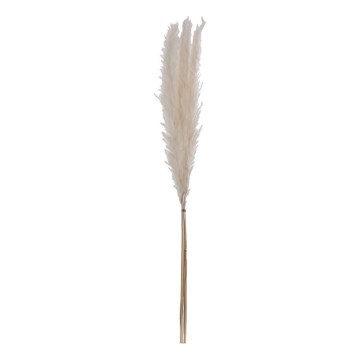 Eglo - Dried λουλούδι 70 cm λευκό