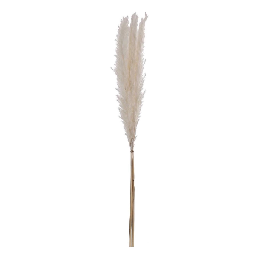 Eglo - Dried λουλούδι 70 cm λευκό