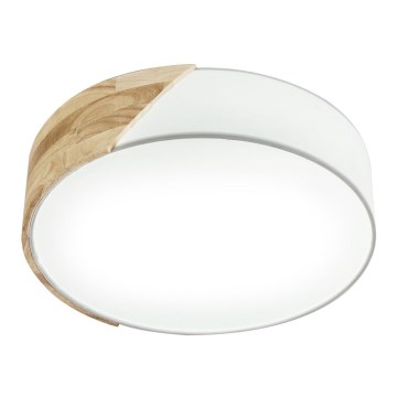 Eglo - Φως οροφής 2xE27/28W/230V