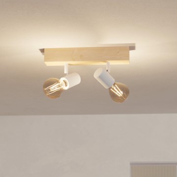 Eglo - Φωτιστικό σποτ TOWNSHEND 2xE27/60W/230V