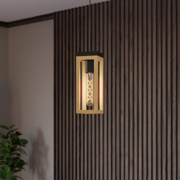 Eglo - Φωτιστικό οροφής με καλώδιο 1xE27/40W/230V