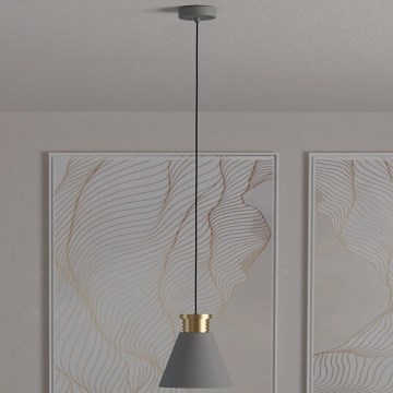 Eglo - Φωτιστικό οροφής με καλώδιο 1xE27/40W/230V
