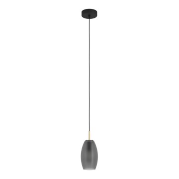 Eglo - Φωτιστικό οροφής με καλώδιο 1xE27/40W/230V