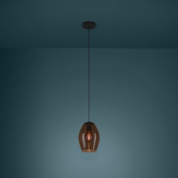 Eglo - Κρεμαστό φωτιστικό οροφής 1xE27/40W/230V καφέ