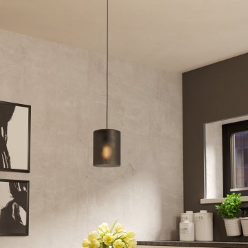 Eglo - Κρεμαστό φωτιστικό οροφής 1xE27/40W/230V γκρι