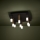 Eglo - LED Dimmable φωτιστικό οροφής 9xLED/3,1W/230V 3000K ανθρακί/χρυσό
