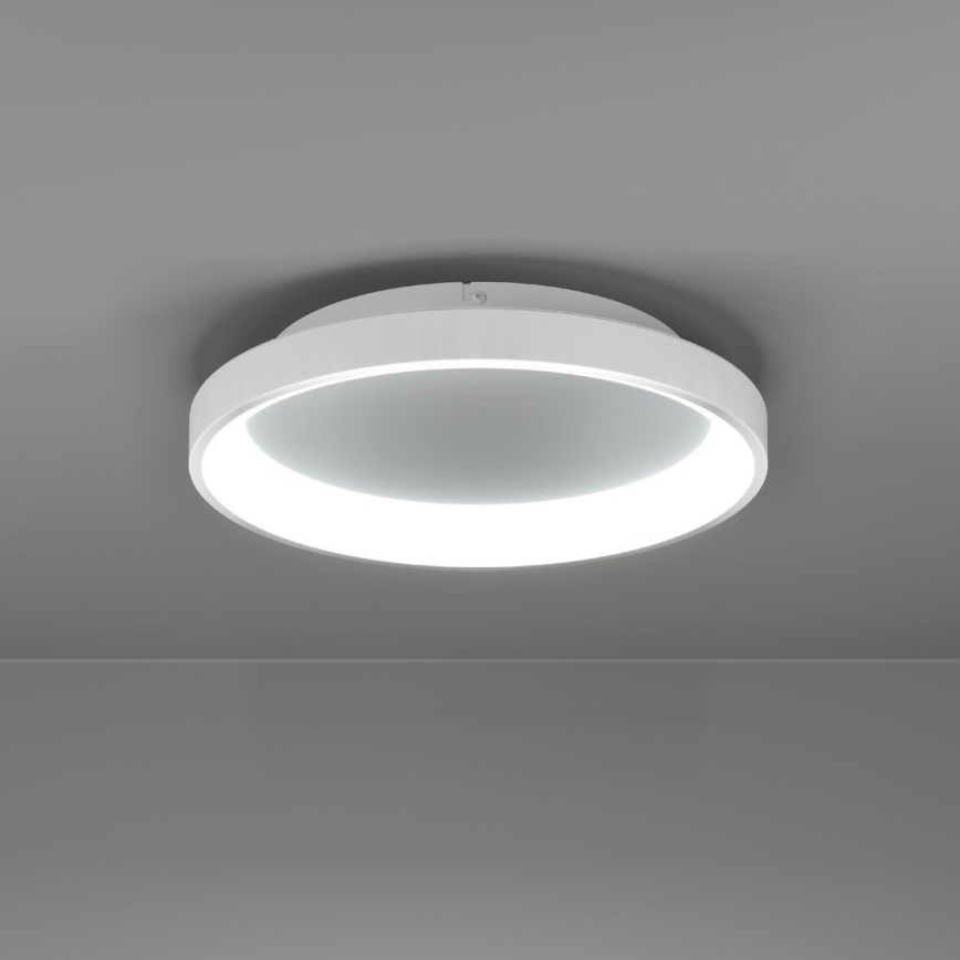 Eglo - LED Dimmable φωτιστικό οροφής LED/12W/230V 2700-6500K λευκό + τηλεχειριστήριο