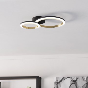 Eglo - LED Dimmable φωτιστικό οροφής LED/12W/230V 4000K μαύρο/χρυσό