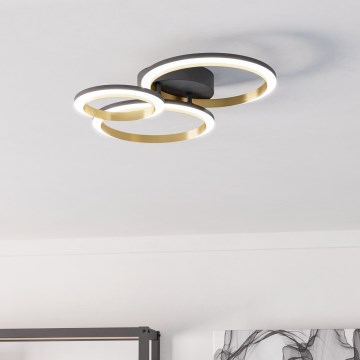 Eglo - LED Dimmable φωτιστικό οροφής LED/20W/230V 4000K μαύρο/χρυσό