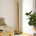 Eglo - LED Dimming αφής επιδαπέδιο φωτιστικό CAMACHO LED/22W/230V