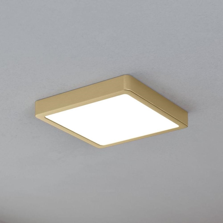 Eglo - LED Φωτιστικό οροφής LED/17W/230V 21x21 cm