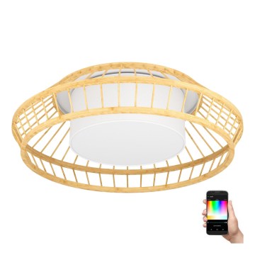 Eglo - LED RGBW Dimmable φωτιστικό οροφής LED/22W/230V 2700-6500K