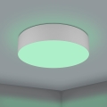 Eglo - LED RGBW Dimmable φωτιστικό οροφής LED/35W/230V 2700-6500K γκρι