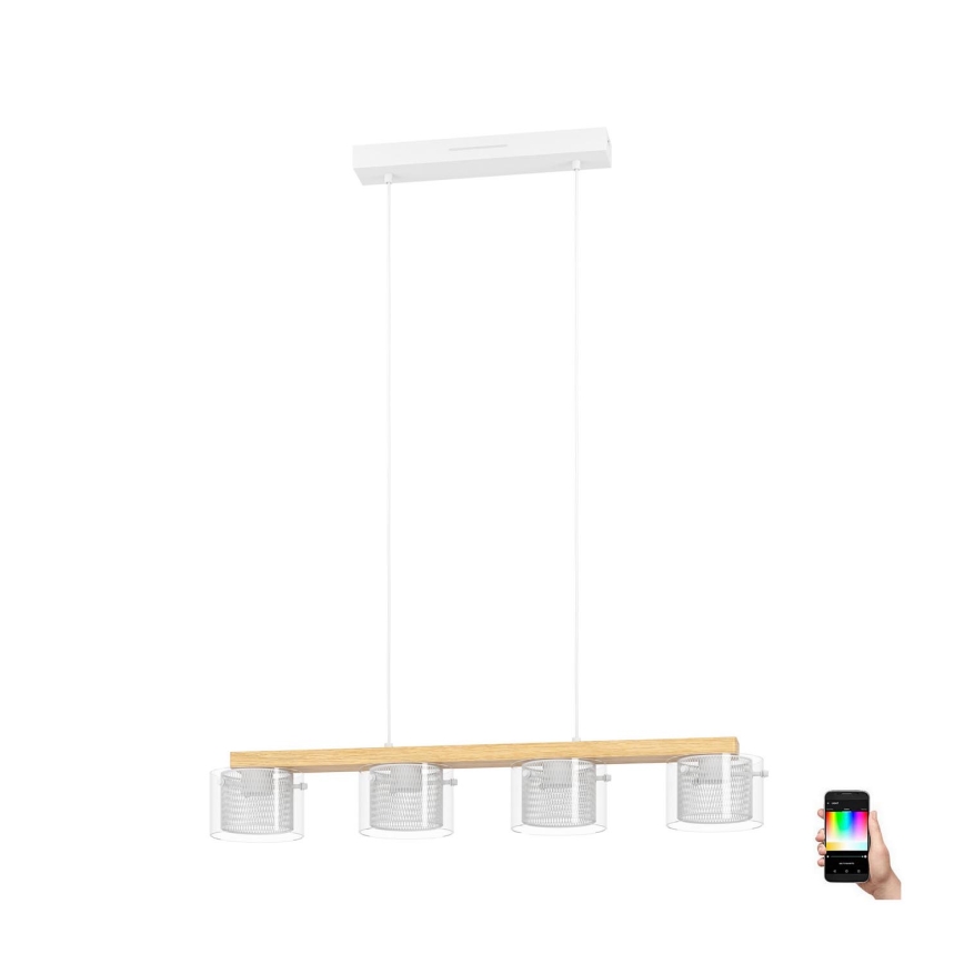 Eglo - LED RGBW Κρεμαστό φωτιστικό οροφής ντιμαριζόμενο 4xLED/3,7W/230V 2700-6500K