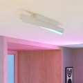 Eglo - LED RGBW Ρυθμιζόμενο φωτιστικό οροφής LED/13W/230V 2700-6500K γκρι