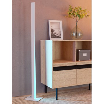 Eglo - LED RGBW ρυθμιζόμενο επιδαπέδιο φωτιστικό LED/10,5W/230V + LED/15,2W γκρι