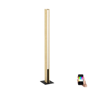 Eglo - LED RGBW Επιδαπέδια λάμπα dimming LED/35W/230V 2700-6500K