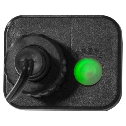 Eglo - LED γιρλάντα εξωτερικού χώρου 300xLED/8 λειτουργίες 11m IP44 πολύχρωμη