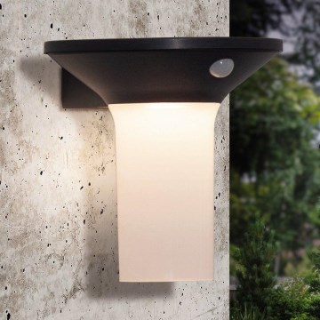 Eglo - LED εξωτερικό ηλιακό φωτιστικό με αισθητήρα 6xLED/0,03W/3,7V IP44