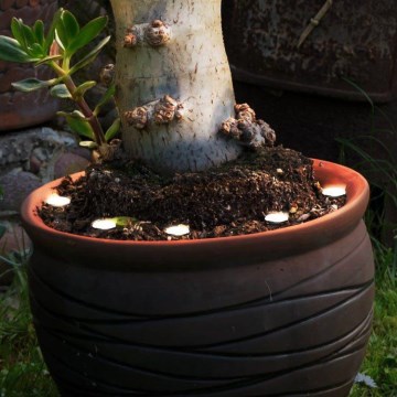 Eglo - LED Εξωτερικό διακοσμητικό φωτιστικό αλυσίδα SPINETOLI 6xLED IP65