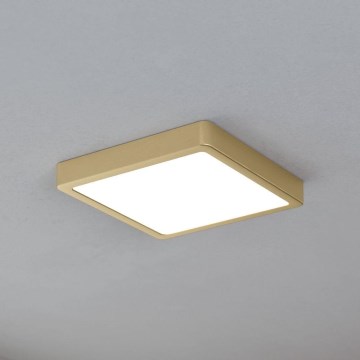 Eglo - LED Οροφωτιστικό LED/17W/230V