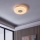 Eglo - LED Ρυθμιζόμενο φωτιστικό οροφής LED/44,8W/230V 2700-6500K ZigBee