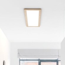 Eglo - LED Φωτιστικό οροφής LED/32W/230V 345x1245 mm