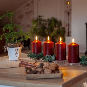 Eglo - LED χριστουγεννιάτικη διακόσμηση LED/0,03W/2xAA