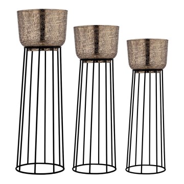 Eglo - ΣΕΤ 3x Μεταλλικό κασπώ μαύρο/χρυσό