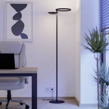 Eglo - Ρυθμιζόμενο φωτιστικό δαπέδου LED/16W/230V + LED/12W μαύρο