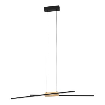 Eglo - Ρυθμιζόμενο LED φωτιστικό οροφής με καλώδιο 2xLED/13W/230V