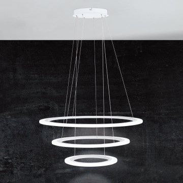 Eglo - Ρυθμιζόμενο LED κρεμαστό φωτιστικό με σύρμα ανάρτησης LED/45W/230V + LED/33W + LED/19,5W