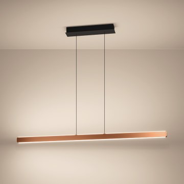 Eglo Stars of Light - LED ρυθμιζόμενο κρεμαστό φωτιστικό σε καλώδιο LED/30W/230V 2200-6500K χρυσό + τηλεχειριστήριο