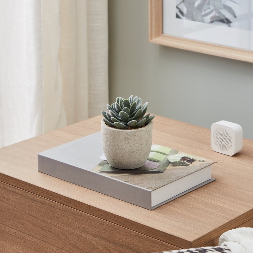 Eglo - Τεχνητό φυτό σε γλάστρα 11x8 εκ. παχύφυτο