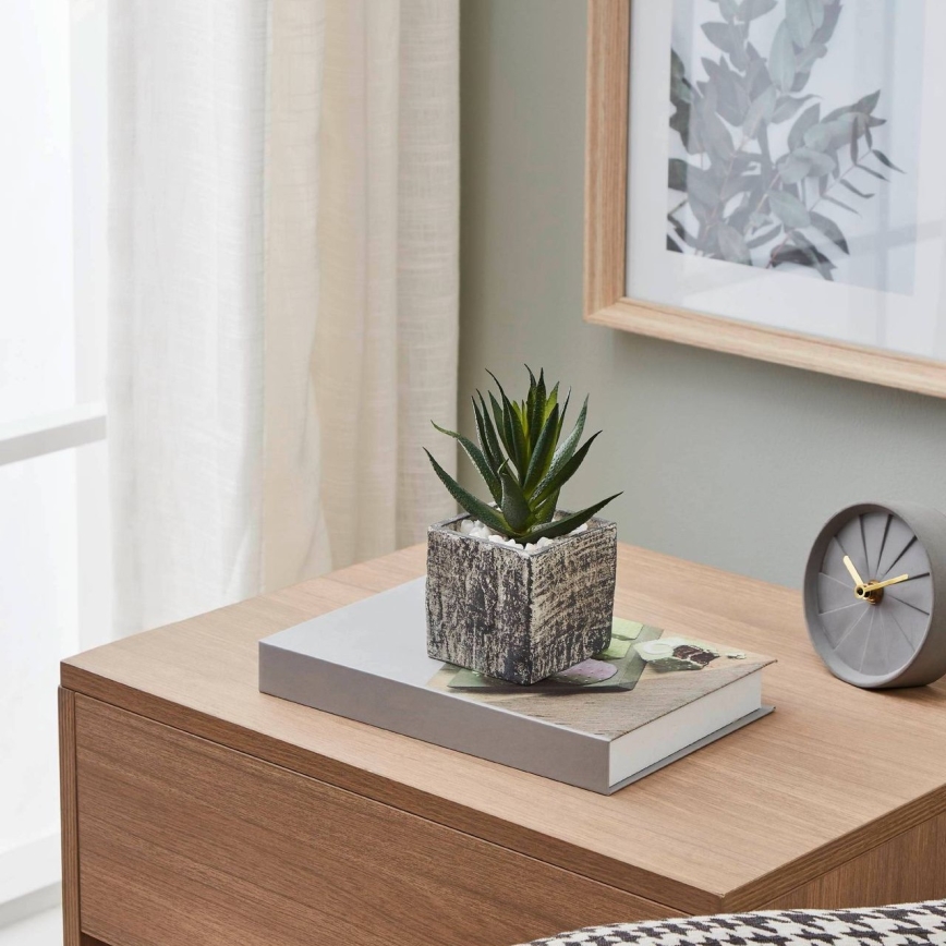 Eglo - Τεχνητό φυτό σε γλάστρα 13x9,5 εκ. παχύφυτο