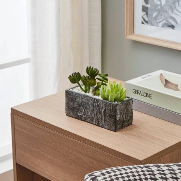 Eglo - Τεχνητό φυτό σε γλάστρα 14,5x17,8 εκ. παχύφυτο