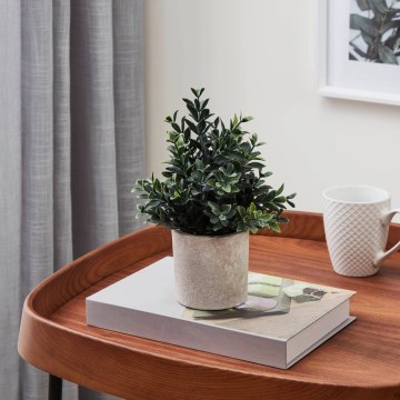 Eglo - Τεχνητό φυτό σε γλάστρα 23x18 εκ.