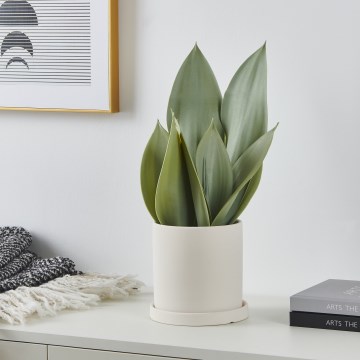 Eglo - Τεχνητό φυτό σε γλάστρα 41,5x28,5 cm