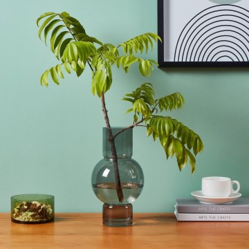 Eglo - Γυάλινο βάζο 28x15,5 εκ. μαύρο