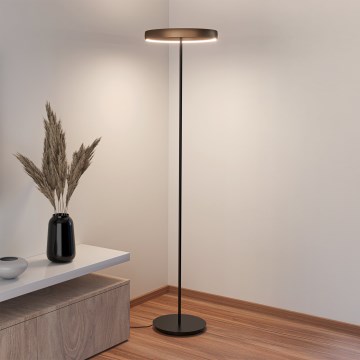 Eglo - Επιδαπέδιο φωτιστικό LED με ρυθμιζόμενη ένταση και αισθητήρα κίνησης 2xLED/19W/230V 2200-6500K καφέ