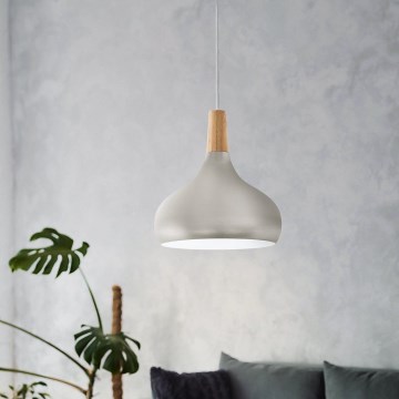 Eglo - Κρεμαστό φωτιστικό 1xE27/60W/230V διάμ. 28 εκ. ασημί