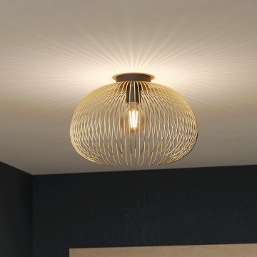 Eglo - Οροφής φωτιστικό 1xE27/40W/230V
