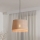Eglo - Πολύφωτο με συρματόσχοινο 1xE27/40W/230V