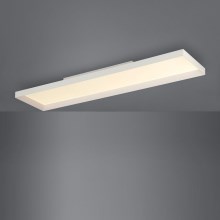 Eglo - Φως οροφής dimmer LED 1xLED/43W/230V λευκό