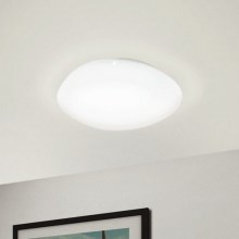 Eglo - Φως οροφής dimmer LED LED/21W/230V