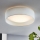 Eglo - Φως οροφής LED 1xLED/11W/230V
