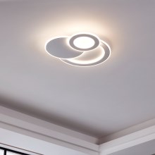 Eglo - Φως οροφής LED 3xLED/11W/230V