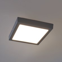 Eglo - Φως οροφής εξωτερικού χώρου LED LED/22W IP44