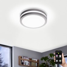 Eglo - Φως οροφής μπάνιου dimmer LED LOCANA-C LED/14W γκρι IP44