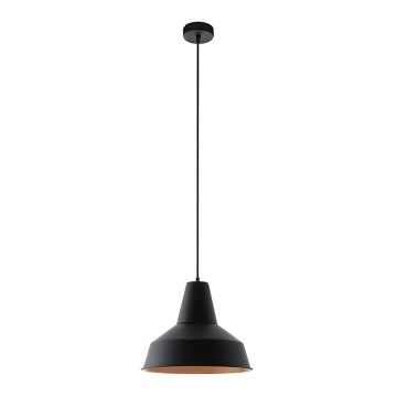 Eglo - Φωτιστικό 1xE27/60W/230V
